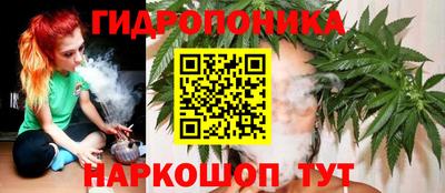 кокс Гусь-Хрустальный