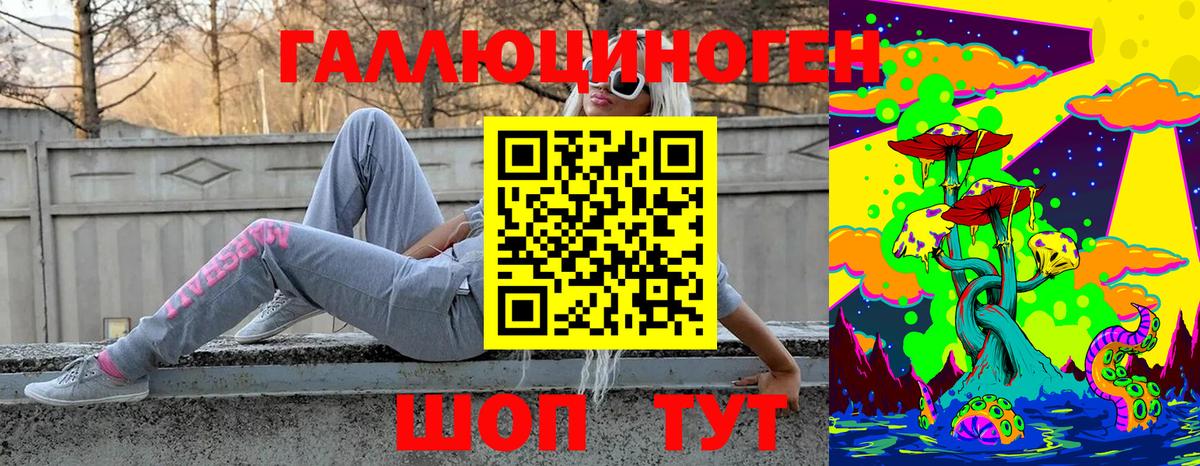 Курск  Галлюциногенные грибы Cubensis  даркнет сайт  Вход с VPN 